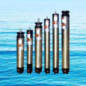 WHNWHM系列国际通用标准潜水电机